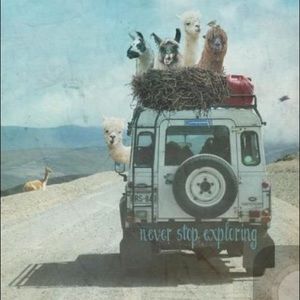 Meet your Posher, Brandon